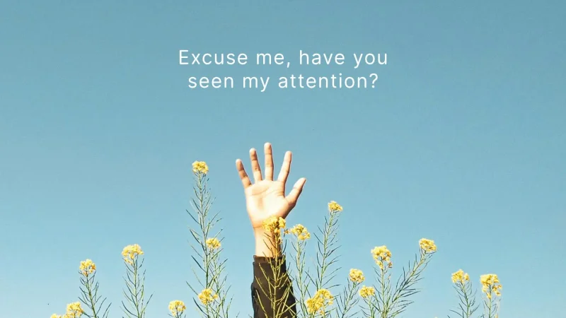 A hand reaching up out of a field of yellow wildflowers into a clear blue sky.