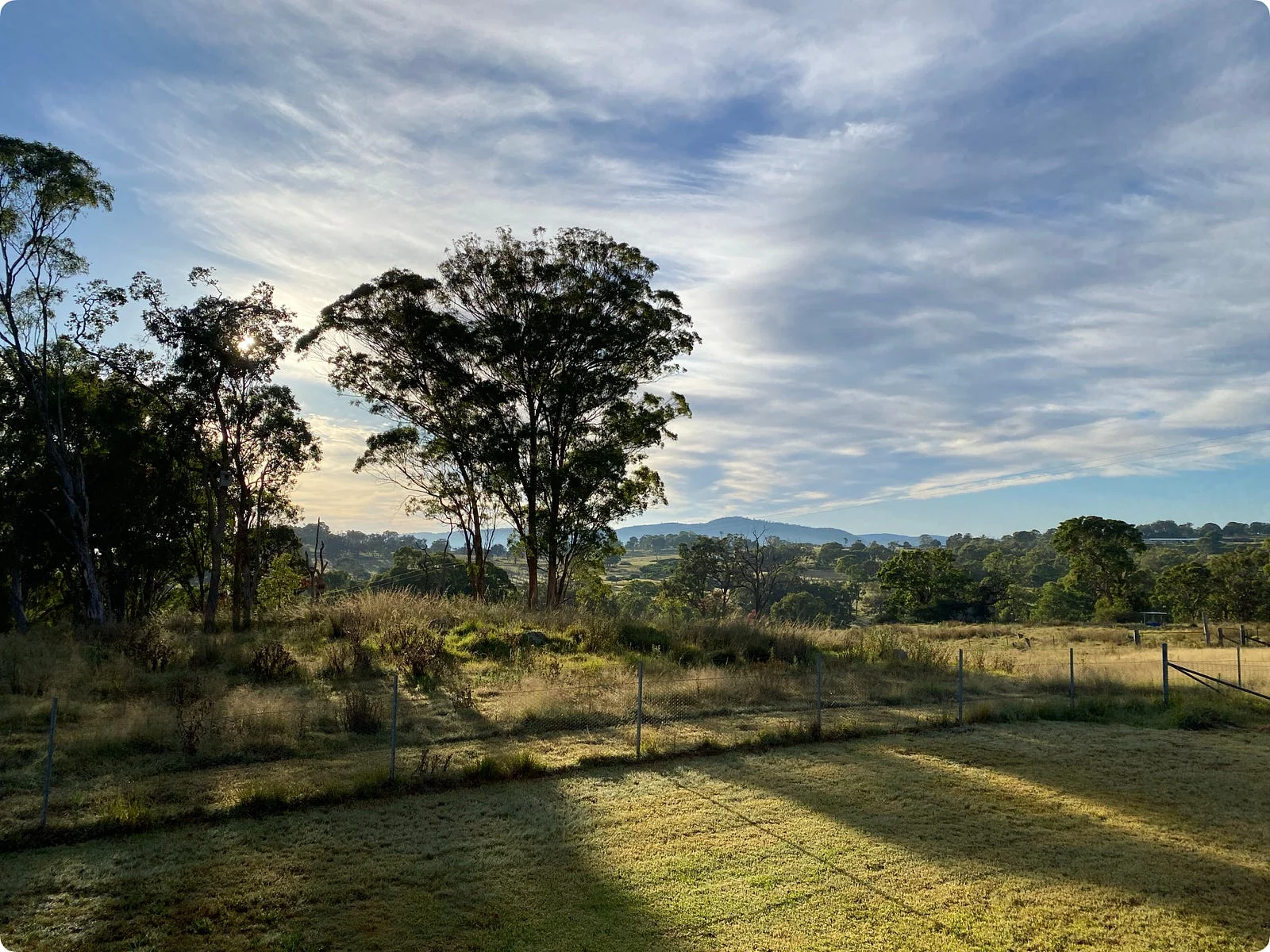 Early morning light over gum trees and open paddocks, with hills in the distance